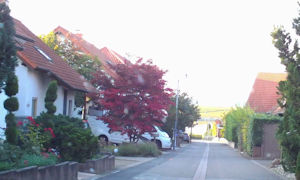 Kirchheim Scenes 12.jpg